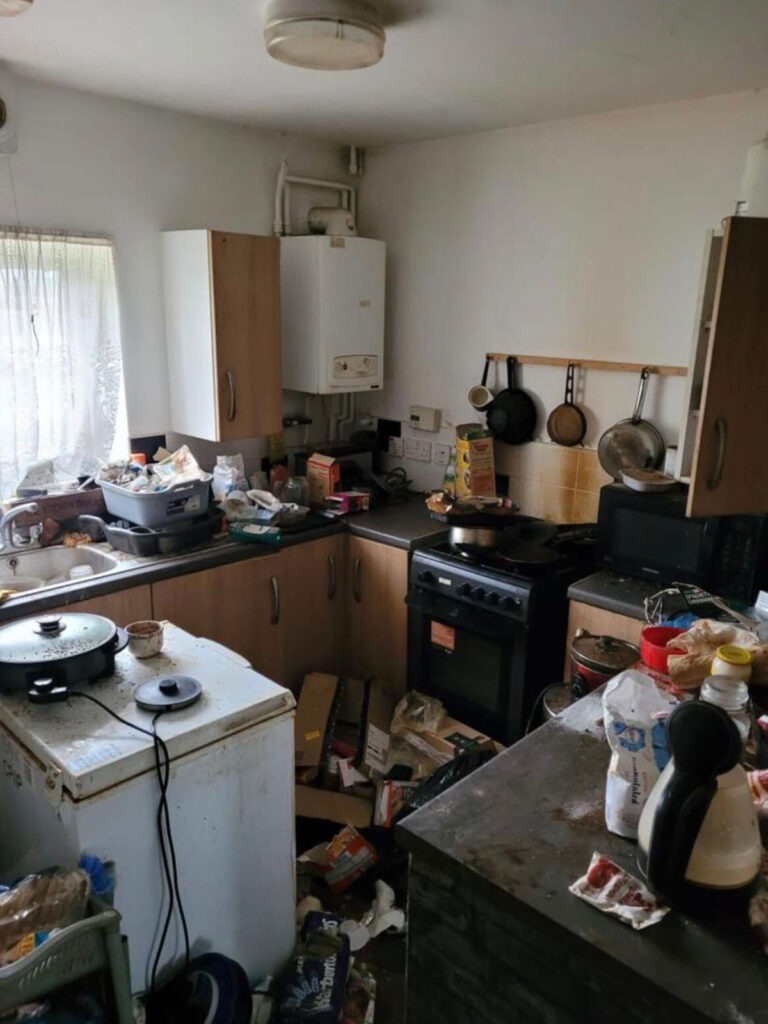 Home Freedom